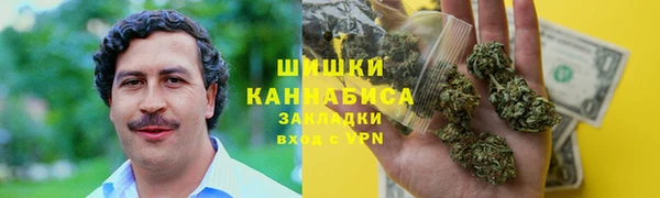 PSILOCYBIN Переславль-Залесский